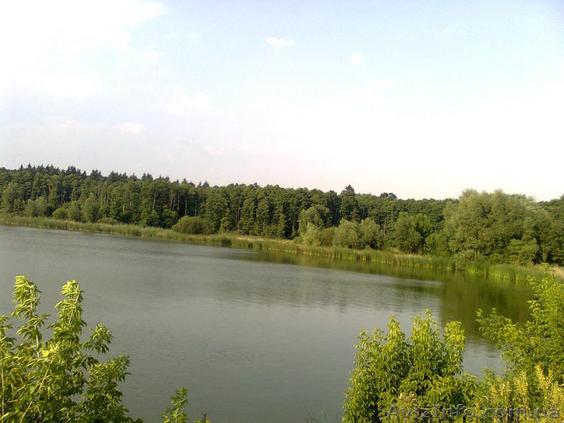 Продається хата у мальовничому місці - <ro>Изображение</ro><ru>Изображение</ru> #2, <ru>Объявление</ru> #37404