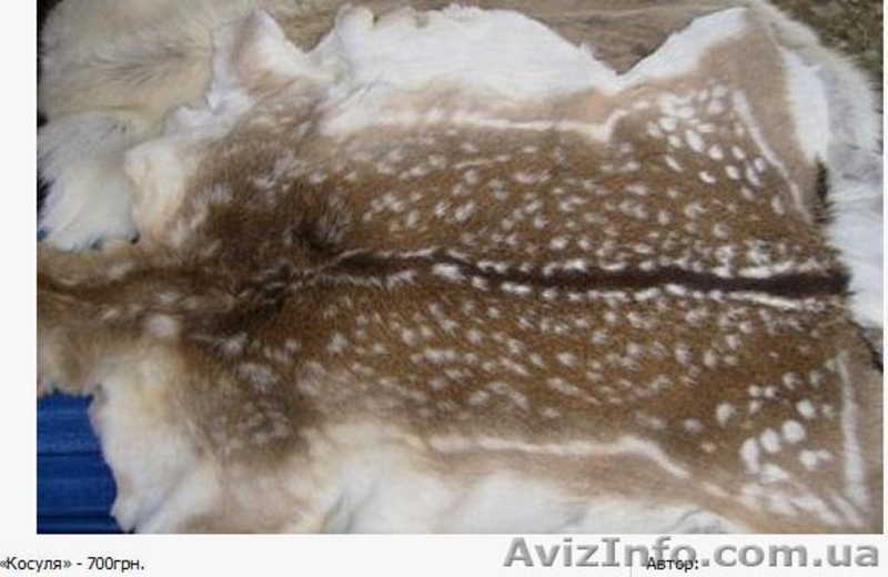 коври- покривала з хутра - <ro>Изображение</ro><ru>Изображение</ru> #3, <ru>Объявление</ru> #47711