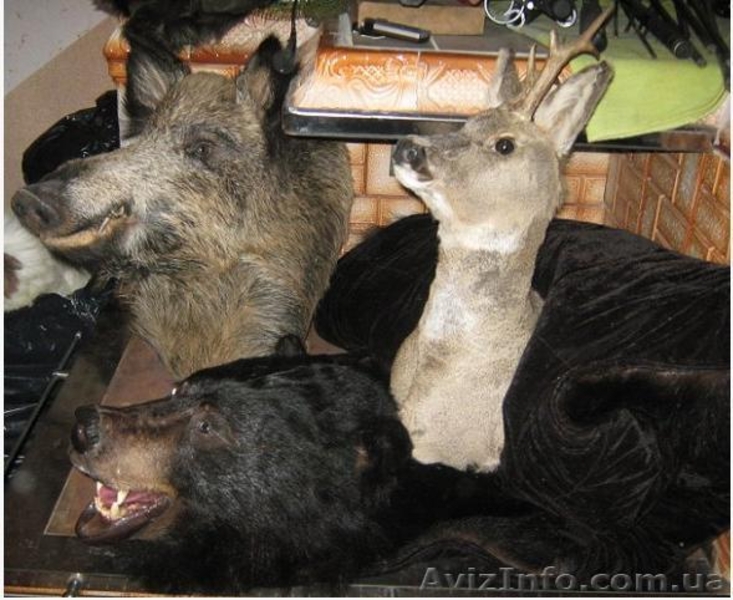 коври- покривала з хутра - <ro>Изображение</ro><ru>Изображение</ru> #4, <ru>Объявление</ru> #47711