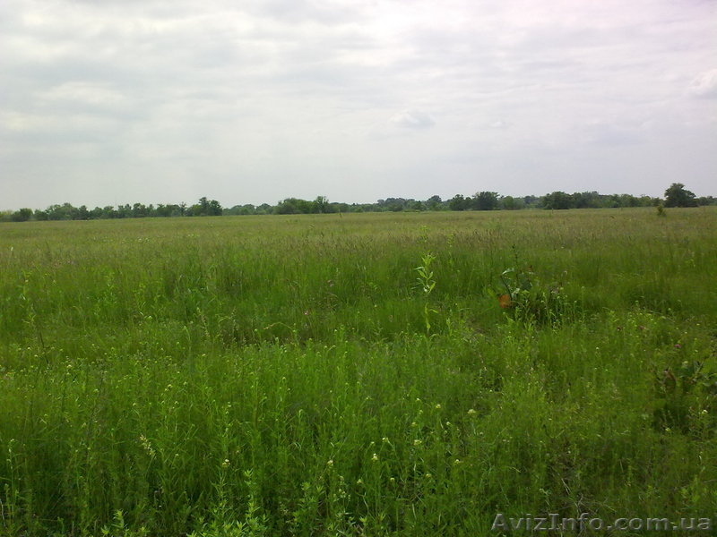 участки под Киевом - <ro>Изображение</ro><ru>Изображение</ru> #3, <ru>Объявление</ru> #60054