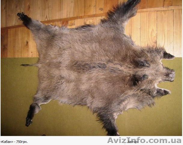 коври- покривала з хутра - <ro>Изображение</ro><ru>Изображение</ru> #5, <ru>Объявление</ru> #47711