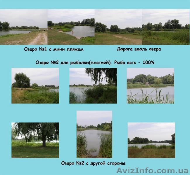 Сдам свой дом под Киевом, на выходные и праздники, на Новый год! - <ro>Изображение</ro><ru>Изображение</ru> #3, <ru>Объявление</ru> #59862