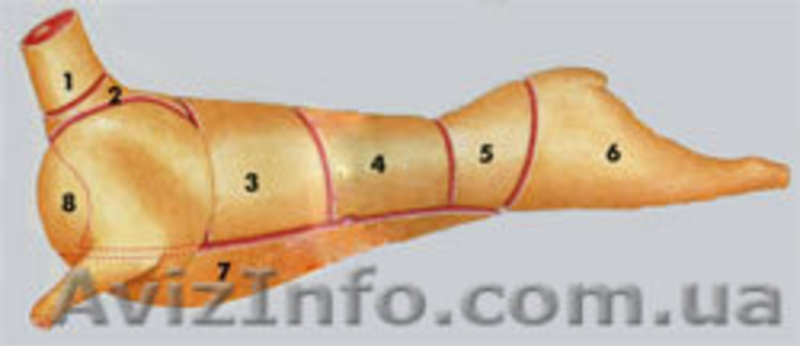 Продам баранов,овец "прекос", "цигай" - <ro>Изображение</ro><ru>Изображение</ru> #2, <ru>Объявление</ru> #52088