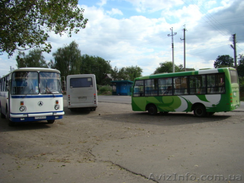 41 сотка под застройку, идеально под таунхауз в Гостомеле. - <ro>Изображение</ro><ru>Изображение</ru> #1, <ru>Объявление</ru> #77973
