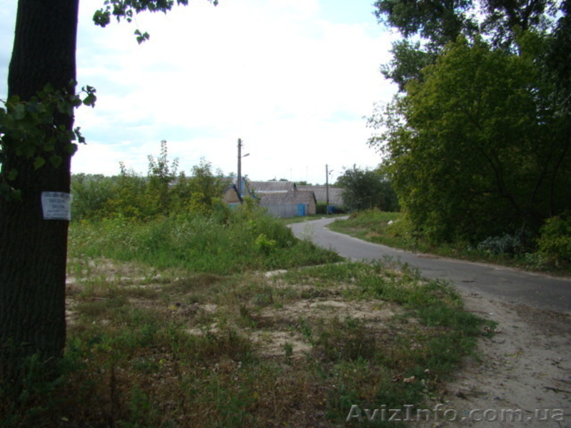 41 сотка под застройку, идеально под таунхауз в Гостомеле. - <ro>Изображение</ro><ru>Изображение</ru> #2, <ru>Объявление</ru> #77973