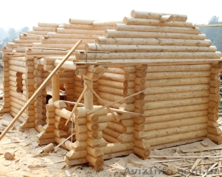 Срубы домов и срубы бань с доставкой и установкой по всей России - <ro>Изображение</ro><ru>Изображение</ru> #2, <ru>Объявление</ru> #79152