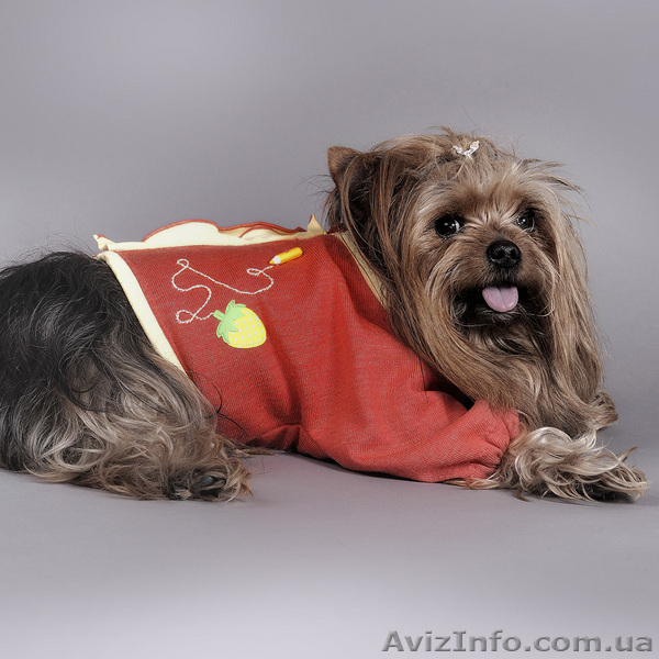 одежда для собак - <ro>Изображение</ro><ru>Изображение</ru> #3, <ru>Объявление</ru> #100186