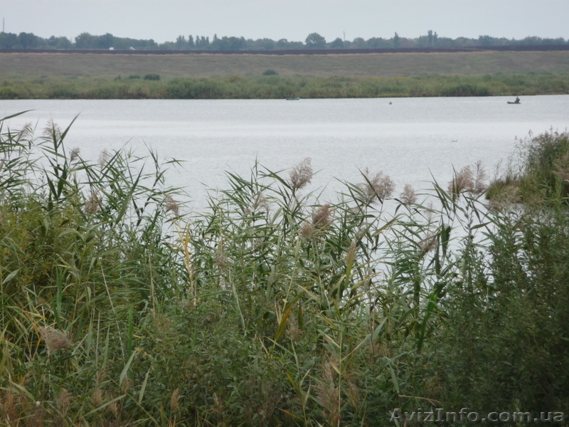 Продам дом. Яготин - <ro>Изображение</ro><ru>Изображение</ru> #3, <ru>Объявление</ru> #94000