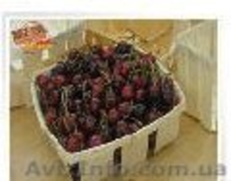 ЧП Иваненко Упаковочная продукция из шпона - <ro>Изображение</ro><ru>Изображение</ru> #3, <ru>Объявление</ru> #107544