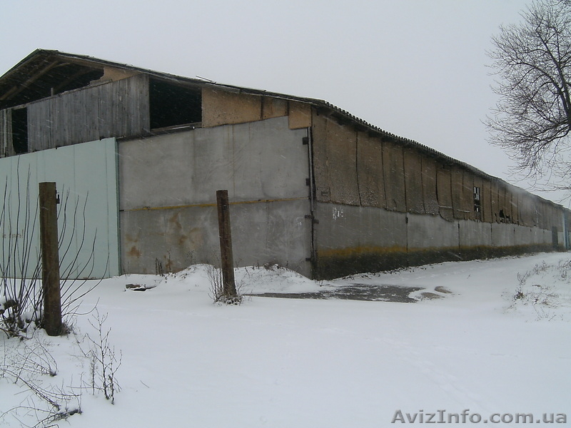 Cклады, цеха,производство,фермы,коморы - <ro>Изображение</ro><ru>Изображение</ru> #2, <ru>Объявление</ru> #120672