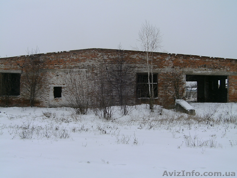 Cклады, цеха,производство,фермы,коморы - <ro>Изображение</ro><ru>Изображение</ru> #3, <ru>Объявление</ru> #120672