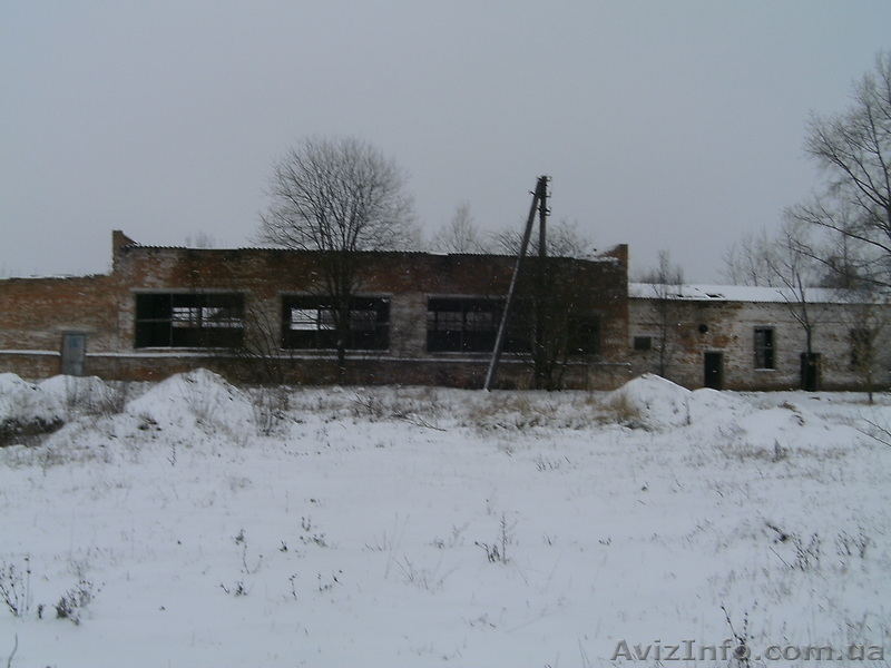 Cклады, цеха,производство,фермы,коморы - <ro>Изображение</ro><ru>Изображение</ru> #1, <ru>Объявление</ru> #120672