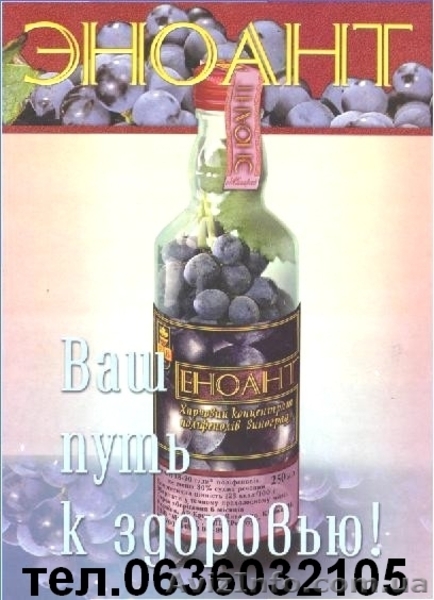 Пищевой концетрат Эноант (Еноант) - <ro>Изображение</ro><ru>Изображение</ru> #2, <ru>Объявление</ru> #14800