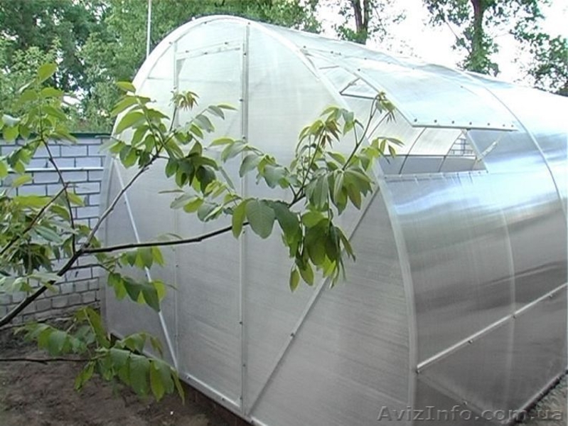 Теплицы, парники под поликарбонат - <ro>Изображение</ro><ru>Изображение</ru> #3, <ru>Объявление</ru> #126603