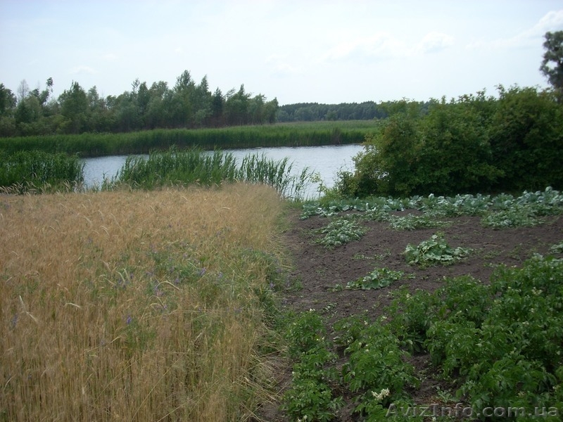 Дом с прямым выходом в р.Днепр - <ro>Изображение</ro><ru>Изображение</ru> #4, <ru>Объявление</ru> #149219