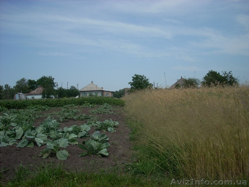 Дом с прямым выходом в р.Днепр - <ro>Изображение</ro><ru>Изображение</ru> #6, <ru>Объявление</ru> #149219