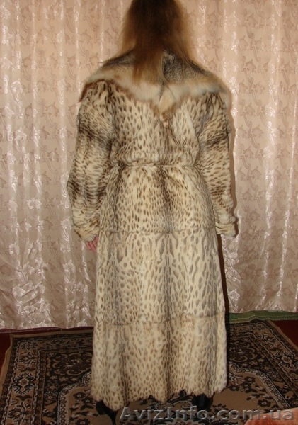 Шуба из меха кота Липпи(камышовый кот) - <ro>Изображение</ro><ru>Изображение</ru> #3, <ru>Объявление</ru> #143186