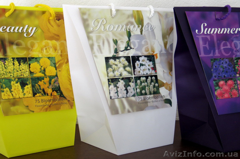 Оптовые поставки фасованных луковиц. - <ro>Изображение</ro><ru>Изображение</ru> #2, <ru>Объявление</ru> #146423