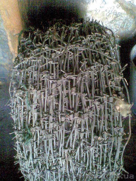 Колючая проволока - <ro>Изображение</ro><ru>Изображение</ru> #2, <ru>Объявление</ru> #136558