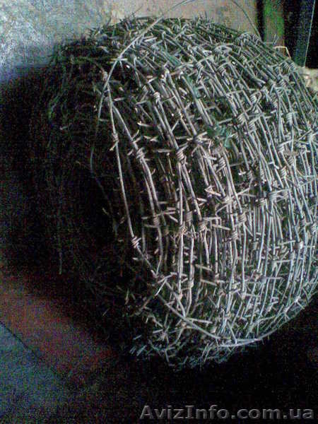 Колючая проволока - <ro>Изображение</ro><ru>Изображение</ru> #3, <ru>Объявление</ru> #136558