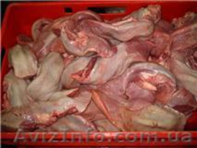  СУБПРОДУКТЫ СВИННЫE - <ro>Изображение</ro><ru>Изображение</ru> #6, <ru>Объявление</ru> #146638