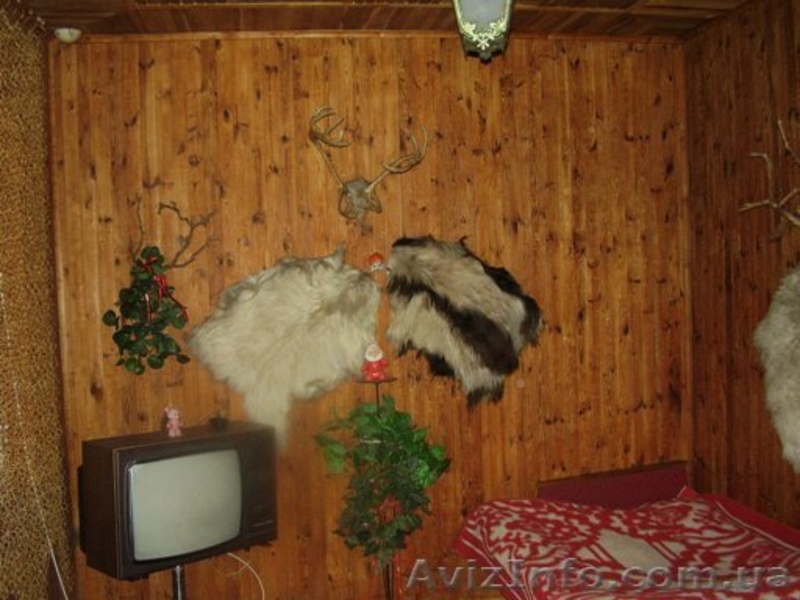 Продам дачу в Вышгородском районе - <ro>Изображение</ro><ru>Изображение</ru> #4, <ru>Объявление</ru> #155528