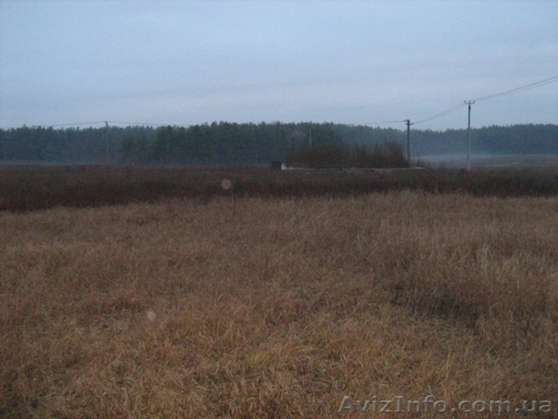 Участок в Боярке под жилую застройку. 5,5 соток / 18 500 у.е - <ro>Изображение</ro><ru>Изображение</ru> #2, <ru>Объявление</ru> #158663