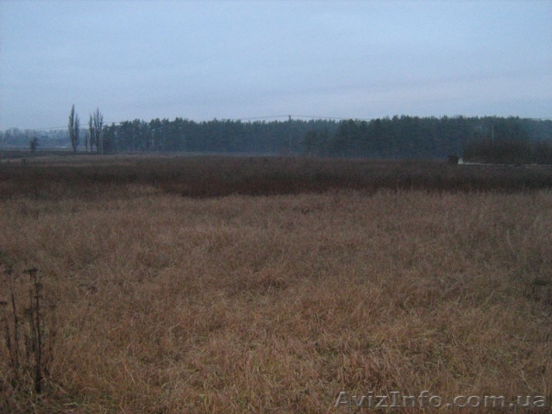 Участок в Боярке под жилую застройку. 5,5 соток / 18 500 у.е - <ro>Изображение</ro><ru>Изображение</ru> #4, <ru>Объявление</ru> #158663