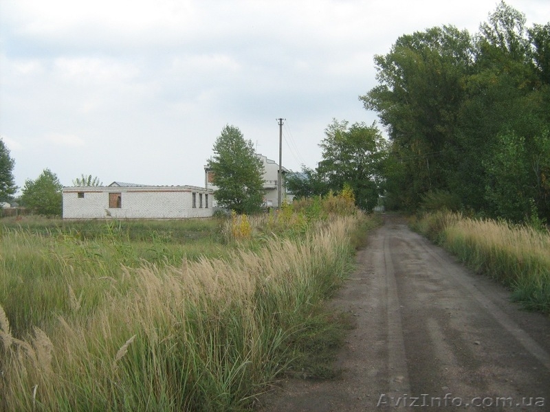 Дом в деревне 150 км от г.Киев - <ro>Изображение</ro><ru>Изображение</ru> #7, <ru>Объявление</ru> #157915