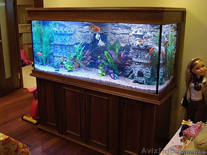 Аквариумы. Подводный мир за стеклом - <ro>Изображение</ro><ru>Изображение</ru> #10, <ru>Объявление</ru> #157659