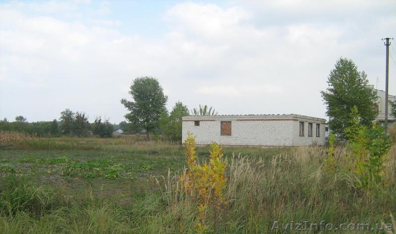 Дом в деревне 150 км от г.Киев - <ro>Изображение</ro><ru>Изображение</ru> #8, <ru>Объявление</ru> #157915