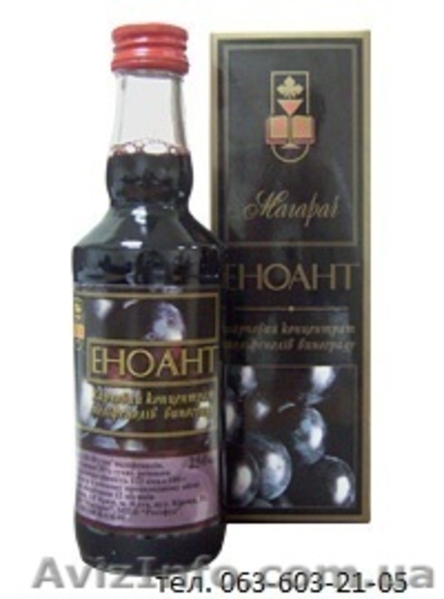 Пищевой Концентрат Эноант ( еноант) - Ваш Путь к здоровью - <ro>Изображение</ro><ru>Изображение</ru> #3, <ru>Объявление</ru> #177023