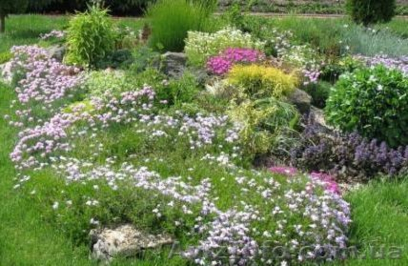 Ландшафтный дизайн Вашего сада.  Все виды ландшафтных работ. - <ro>Изображение</ro><ru>Изображение</ru> #3, <ru>Объявление</ru> #172772