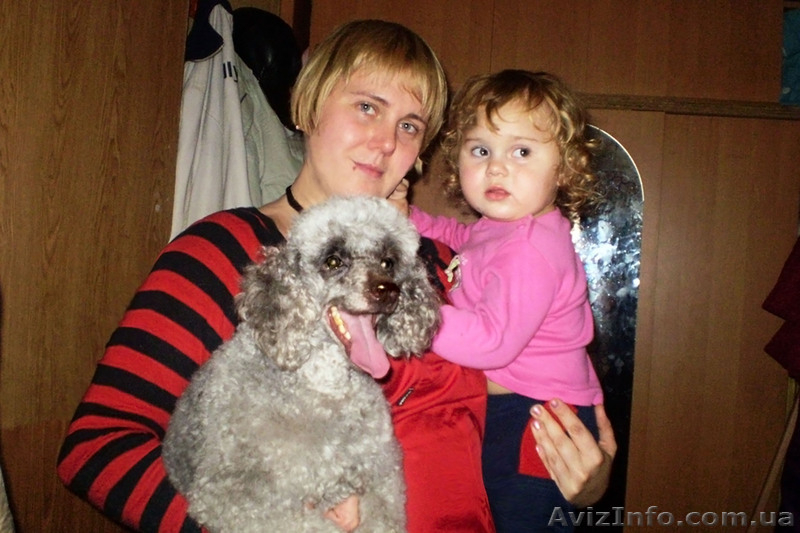 качественная стрижка собак и кошек - <ro>Изображение</ro><ru>Изображение</ru> #6, <ru>Объявление</ru> #163661