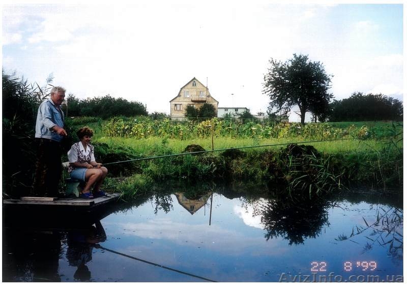 Ставки-Скригалевка, Фастовский р-н, Киевская обл. - <ro>Изображение</ro><ru>Изображение</ru> #4, <ru>Объявление</ru> #178236