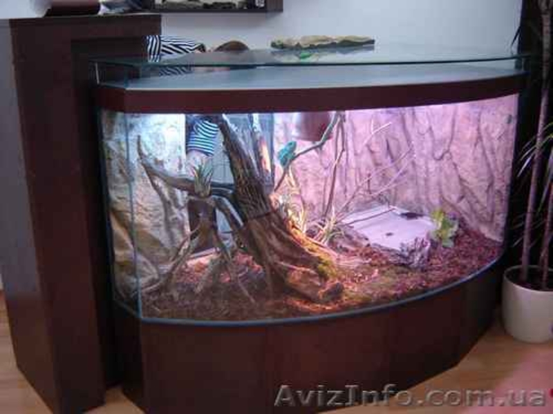 Гибка листового стекла - <ro>Изображение</ro><ru>Изображение</ru> #2, <ru>Объявление</ru> #183132