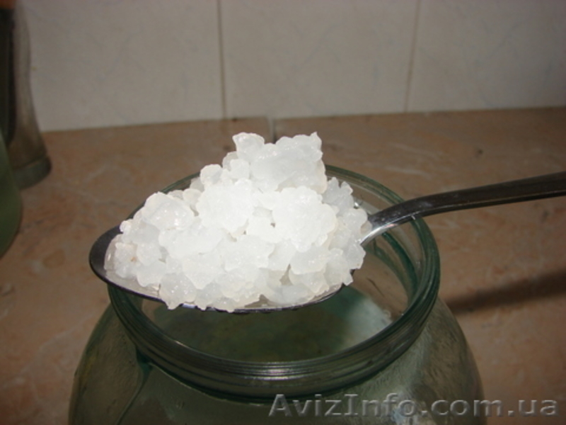 Индийский морской рис - <ro>Изображение</ro><ru>Изображение</ru> #2, <ru>Объявление</ru> #173568