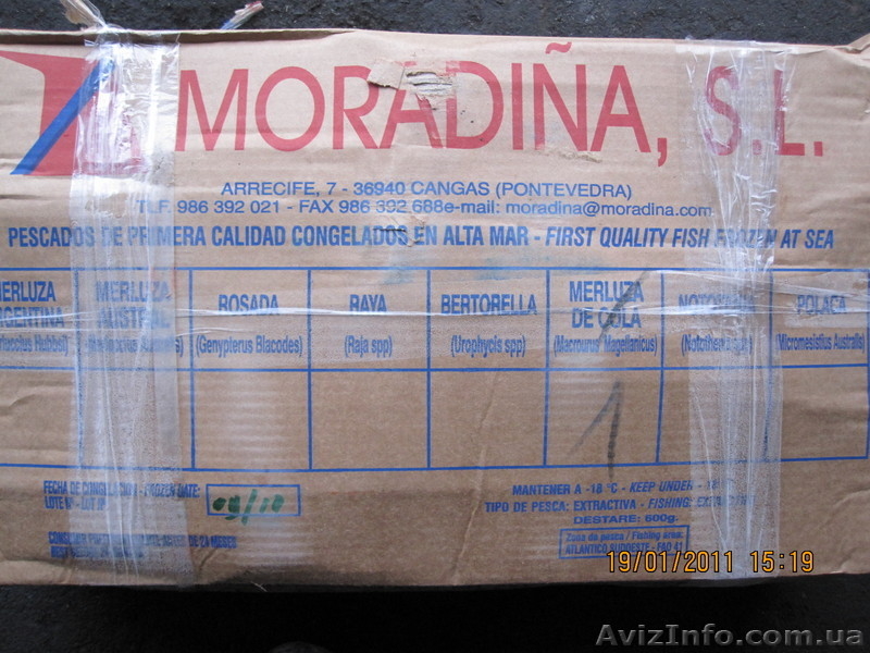 - Мельник Игорь - - <ro>Изображение</ro><ru>Изображение</ru> #5, <ru>Объявление</ru> #211964