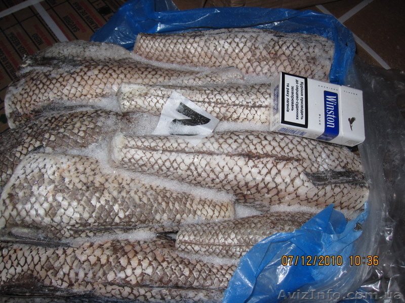 - Мельник Игорь - - <ro>Изображение</ro><ru>Изображение</ru> #3, <ru>Объявление</ru> #211964