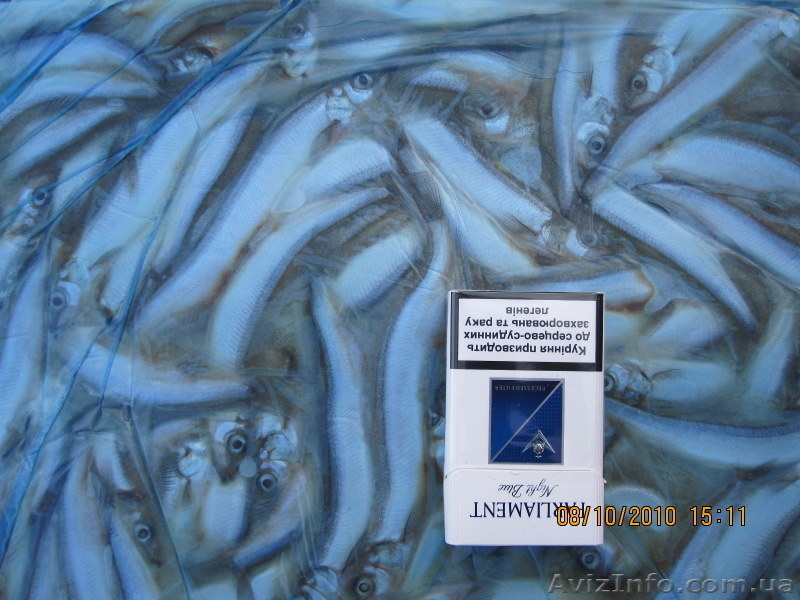 - Мельник Игорь - - <ro>Изображение</ro><ru>Изображение</ru> #9, <ru>Объявление</ru> #211964