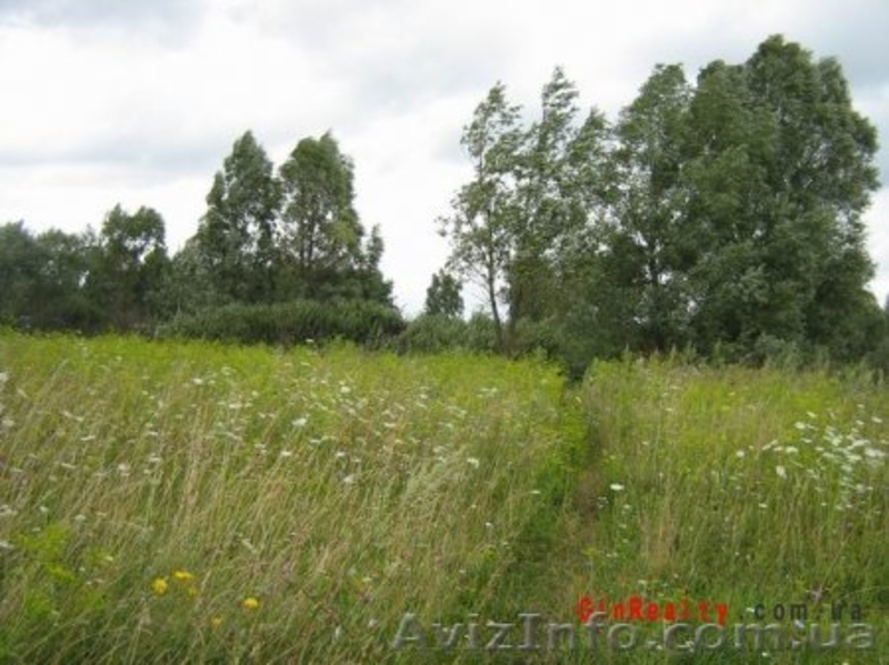Продаю участок 40-км от Киева по трассе Киев-Харьков. Барышевский- район село Се - <ro>Изображение</ro><ru>Изображение</ru> #2, <ru>Объявление</ru> #198919