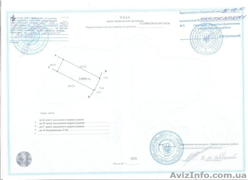 Продам землю (ОСГ) в Бориспольском районе 2га 500$ сота - <ro>Изображение</ro><ru>Изображение</ru> #1, <ru>Объявление</ru> #190977