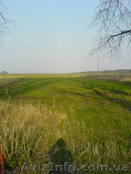 Участок приватизированный - <ro>Изображение</ro><ru>Изображение</ru> #1, <ru>Объявление</ru> #214912