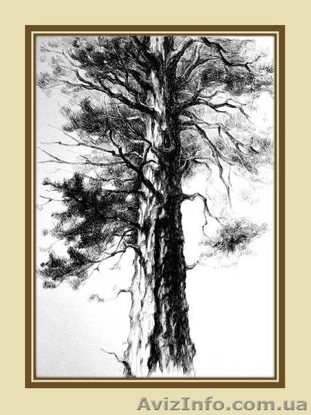 Авторские графические работы - <ro>Изображение</ro><ru>Изображение</ru> #4, <ru>Объявление</ru> #213334