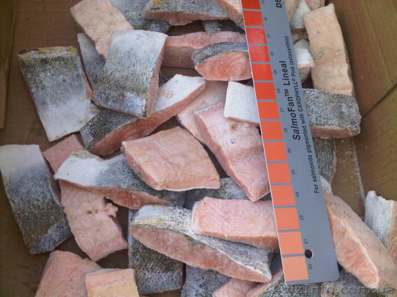 Оптовая и розничная продажа с/м рыбы по самым низким ценам! - <ro>Изображение</ro><ru>Изображение</ru> #2, <ru>Объявление</ru> #193495