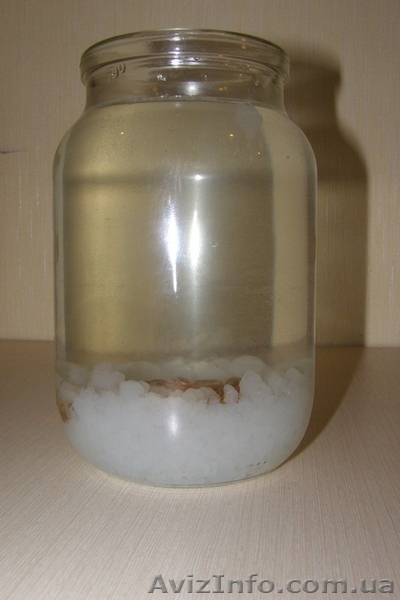 Морской индийский рис. - <ro>Изображение</ro><ru>Изображение</ru> #1, <ru>Объявление</ru> #188650