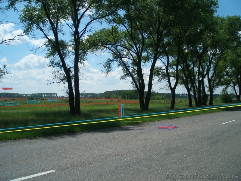 Юрий Анатольевич 0932110000 www.bogdanovka.com.ua - <ro>Изображение</ro><ru>Изображение</ru> #3, <ru>Объявление</ru> #185978