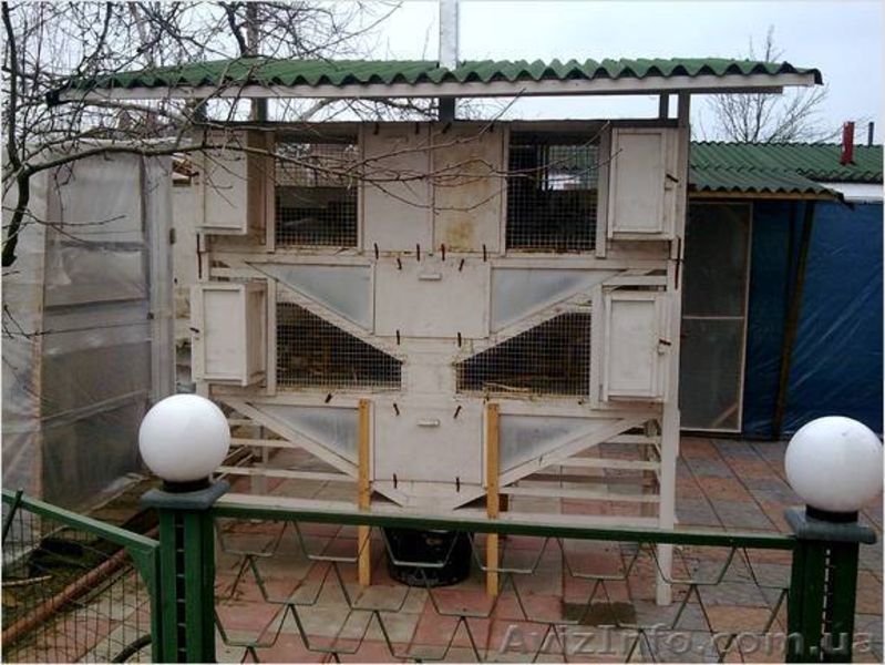 Адаптируемые клетки для разведения кролей вне помещений  - <ro>Изображение</ro><ru>Изображение</ru> #2, <ru>Объявление</ru> #220090