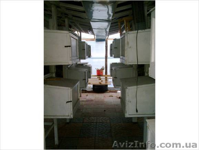 Адаптируемые клетки для разведения кролей вне помещений  - <ro>Изображение</ro><ru>Изображение</ru> #3, <ru>Объявление</ru> #220090