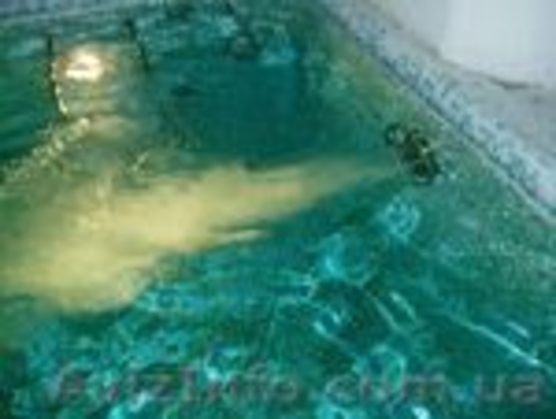 Бассейны строительство.Строительство бассейнов. - <ro>Изображение</ro><ru>Изображение</ru> #2, <ru>Объявление</ru> #245655